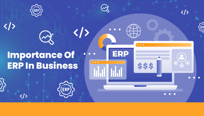 Importance of erp in business Importance of erp in business