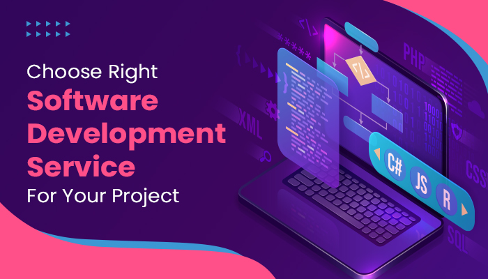 choose right software development service choose right software development service